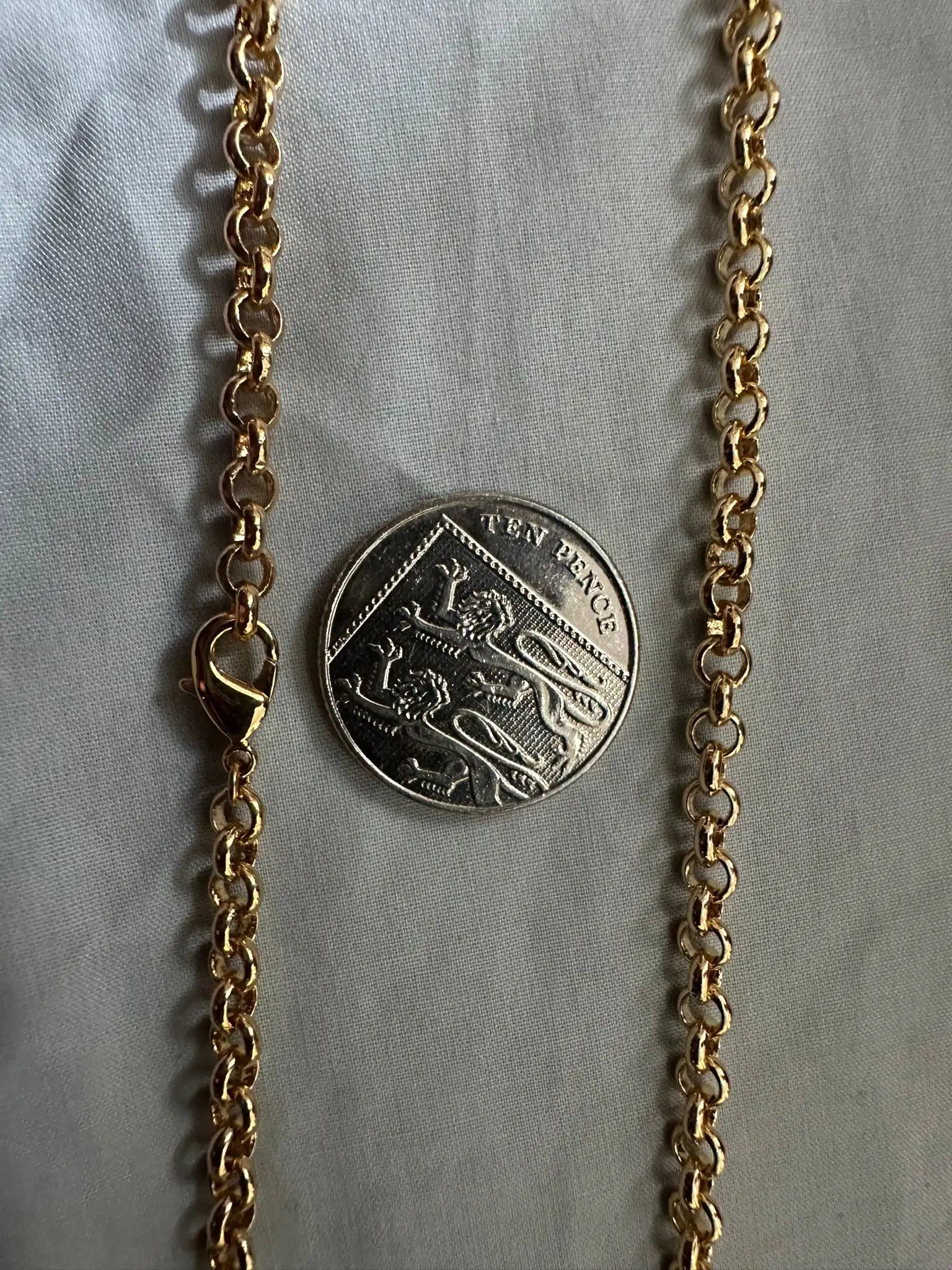 Gold chain with a silver coin featuring a lion emblem on a light gray background